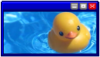 image: a rubber duck in water